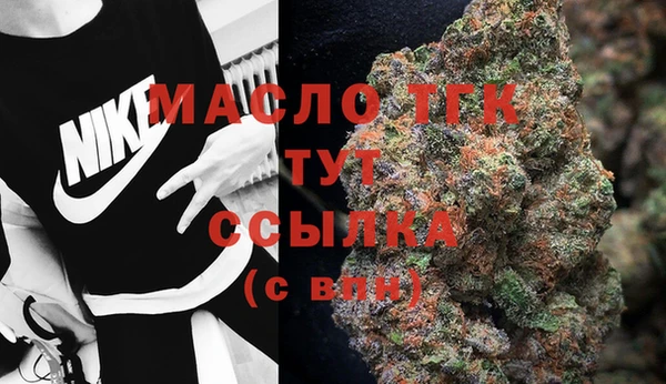 индика Белокуриха