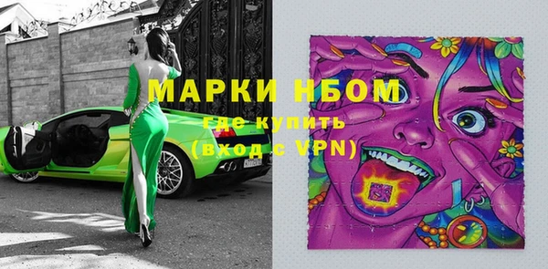 индика Белокуриха