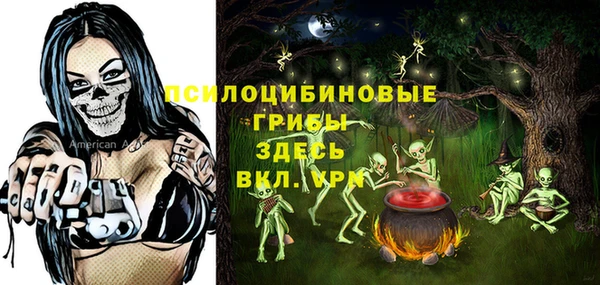 индика Белокуриха