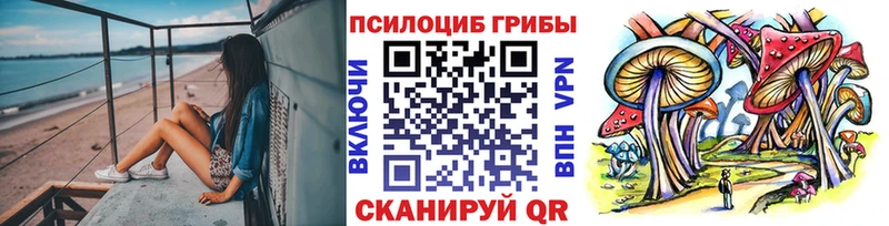 сколько стоит  Коркино  shop Telegram  Псилоцибиновые грибы Psilocybe 
