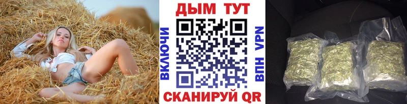 Канабис индика  Коркино 